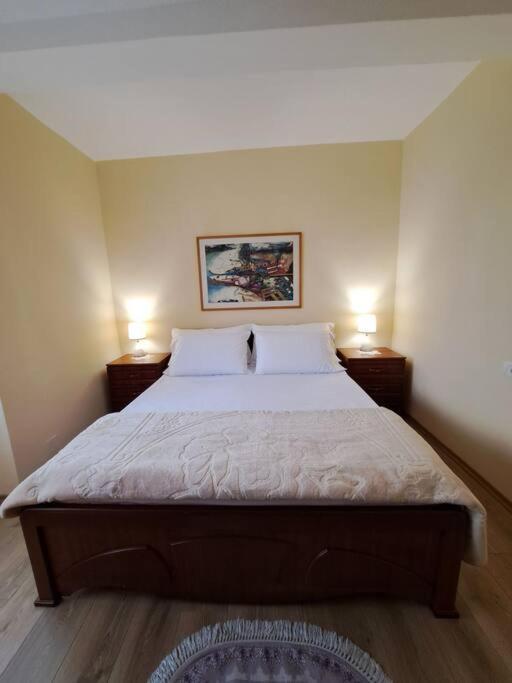 Quiet, Cozy, Luminous Apartment Tirana Buitenkant foto