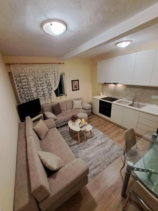 Quiet, Cozy, Luminous Apartment Tirana Buitenkant foto