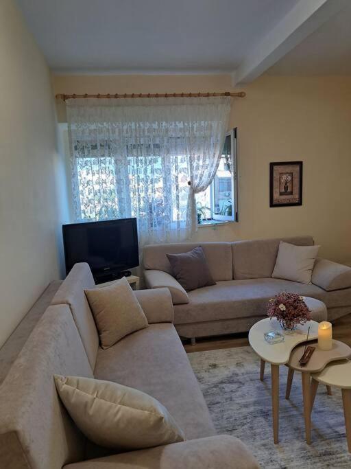 Quiet, Cozy, Luminous Apartment Tirana Buitenkant foto