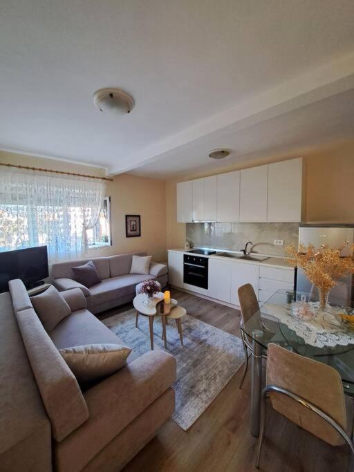 Quiet, Cozy, Luminous Apartment Tirana Buitenkant foto