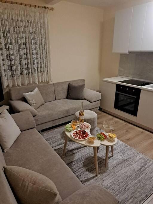 Quiet, Cozy, Luminous Apartment Tirana Buitenkant foto