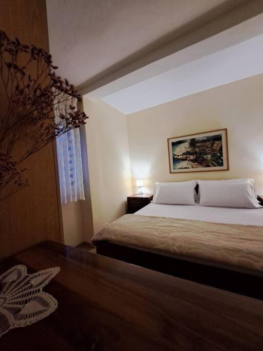 Quiet, Cozy, Luminous Apartment Tirana Buitenkant foto